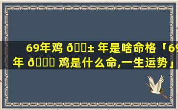 69年鸡 🐱 年是啥命格「69年 🐋 鸡是什么命,一生运势」